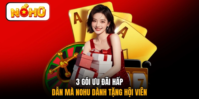 3 gói ưu đãi hấp dẫn mà NOHU dành tặng hội viên